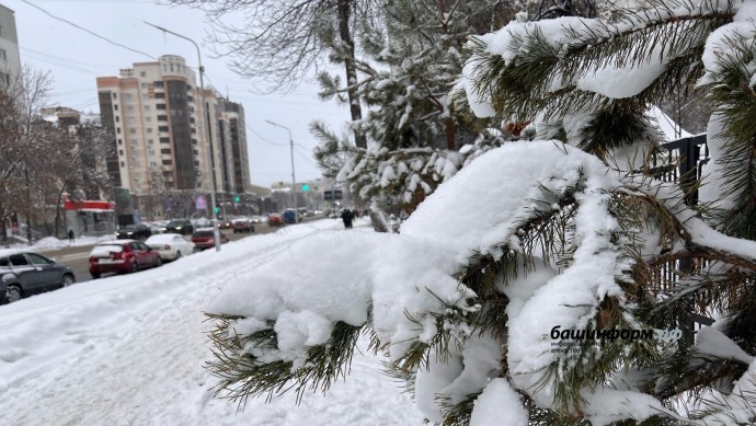 В Башкирии прогнозируется снежная погода с метелями и гололедом В Башкирии прогнозируется снежная погода с метелями и гололедом