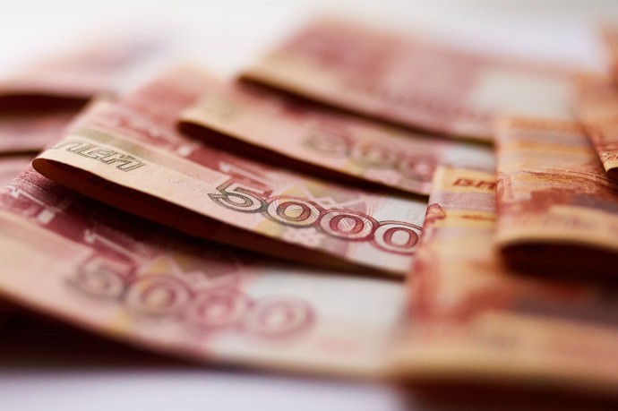 Пензенская компания компенсирует государству деньги, которая она вывела за рубеж