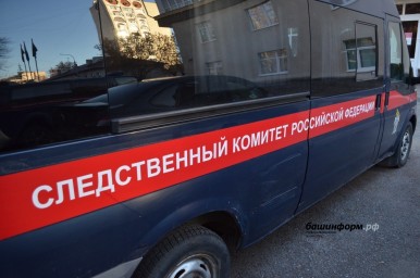 В Башкирии преступная группа похищала и вымогала у подростков деньги 