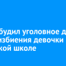 СК возбудил уголовное дело после избиения девочки в иркутской школе