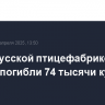 На "Тарусской птицефабрике" при пожаре погибли 74 тысячи кур