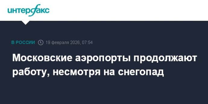 Московские аэропорты продолжают работу, несмотря на снегопад