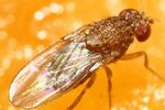 Давай, до свидания - 2! или Мария Арбатова выступила в защиту Лены Лениной