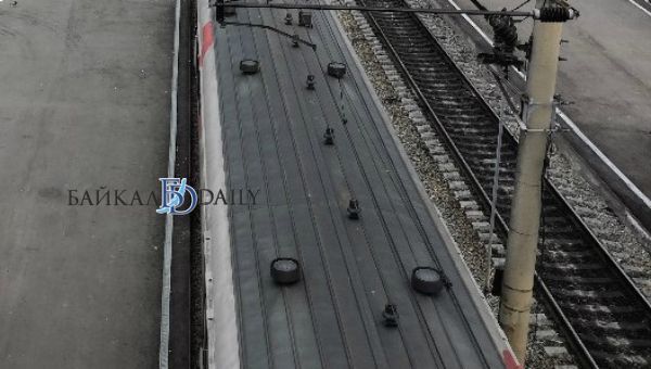 В Иркутской области пёс Жескар вычислил наркомана