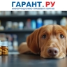 Госпошлины за регистрацию ветеринарных лекарств в рамках ЕАЭС введут с 31 августа