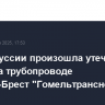 В Белоруссии произошла утечка нефти на трубопроводе Мозырь-Брест "Гомельтранснефти Дружба"