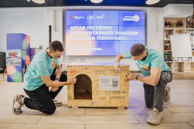 Москвичи могут принять участие в помощи бездомным животным Белгорода
