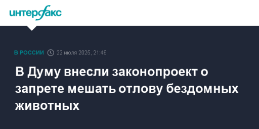 В Думу внесли законопроект о запрете мешать отлову бездомных животных