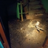 При пожаре в жилом доме в Уфе спасли 14 человек