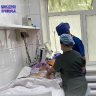 В Приморье водитель из-за укуса шершня потерял сознание, а затем влетел в столб