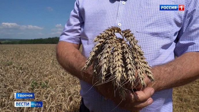 Россельхознадзор аннулировал декларации тульского фермера на 2,2 тысячи тонн зерна