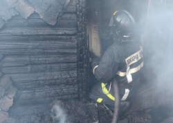 С начала года на пожарах в области погибли 37 человек