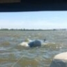 Астраханская река унесла жизнь подростка