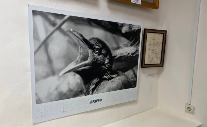 Созданное природой и человеком: мир Валентина Воробьёва можно увидеть в охинском музее Созданное природой и человеком: мир Валентина Воробьёва можно увидеть в охинском музее