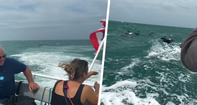 Чемоданы туристов оказались в море во время поездки на пароме в Таиланде: «Экипаж рассмеялся» Чемоданы туристов оказались в море во время поездки на пароме в Таиланде: «Экипаж рассмеялся»