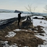 Пензенцев поймали на нарушениях: открытие сезона охоты обернулось штрафами
