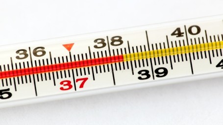 Самозанятые в 2026 году смогут получить выплаты в случае нетрудоспособности