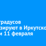 До +5 градусов прогнозируют в Иркутской области 11 февраля