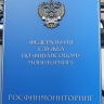 Росфинмониторинг внес объединение создателей «Кириешек» в список террористов