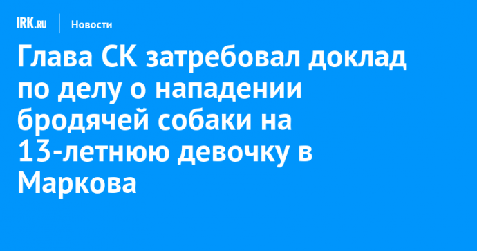 Глава СК затребовал доклад по делу о нападении бродячей собаки на 13-летнюю девочку в Маркова