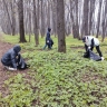 Больше 7 тысяч подозрительных мусорных пакетов обнаружили в разных частях Костромской области
