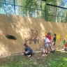 Костромских детей отправили в зоопарк делать ярче жизнь льва