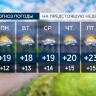 На следующей неделе Петербург ждёт тёплая, но дождливая погода