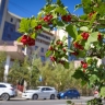 Солнечно и до +29 градусов: прогноз погоды в Якутии на 21 августа