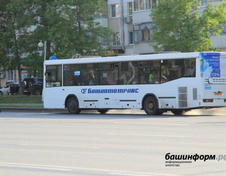 Дети участников СВО из Башкирии смогут бесплатно ездить в транспорте