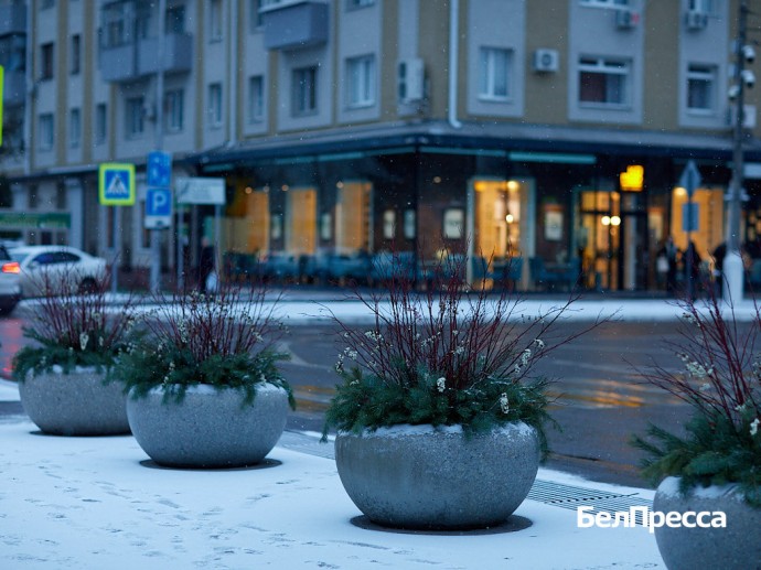 Губернатор: «Белгородские предприятия получат 400 млн ₽ на возмещение ущерба от обстрелов»