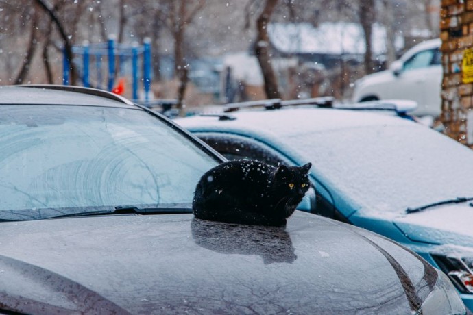 Потепление и немного снега. Озвучен прогноз погоды на выходные