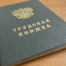 В Курской области средняя зарплата превысила 79 тысяч рублей