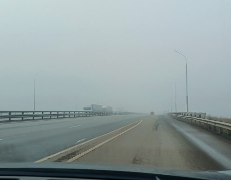 Башкирию ожидается густой туман Башкирию ожидается густой туман