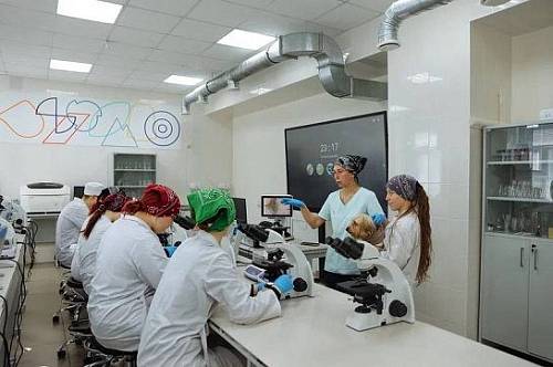 Колледжи и техникумы Приамурья примут больше четырех тысяч студентов-бюджетников