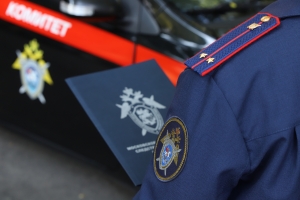 Председатель Следственного комитета России поручил представить доклад о ходе расследования уголовного дела по факту нарушения прав жильцов аварийного дома в Саратовской области