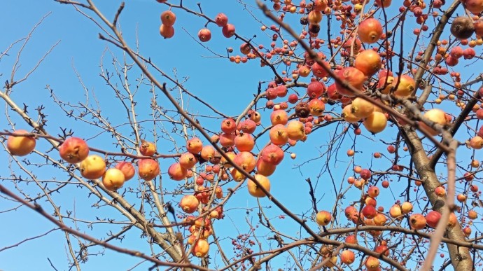 На Башкирию обрушится ледяной дождь На Башкирию обрушится ледяной дождь