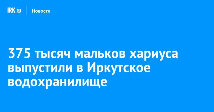 375 тысяч мальков хариуса выпустили в Иркутское водохранилище