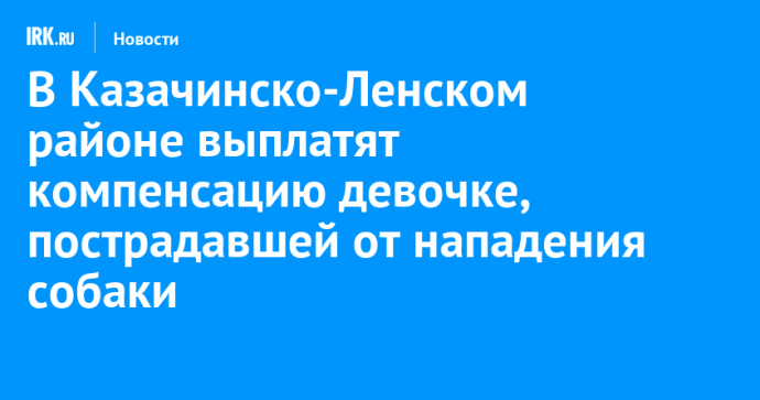 В Казачинско-Ленском районе выплатят компенсацию девочке, пострадавшей от нападения собаки