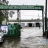 За сутки в лесах Бурятии обнаружили шесть новых возгораний