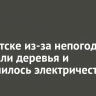 В Иркутске из-за непогоды попадали деревья и отключилось электричество