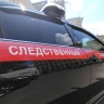 В Подмосковье обнаружили автомобиль с тремя мертвыми мужчинами внутри