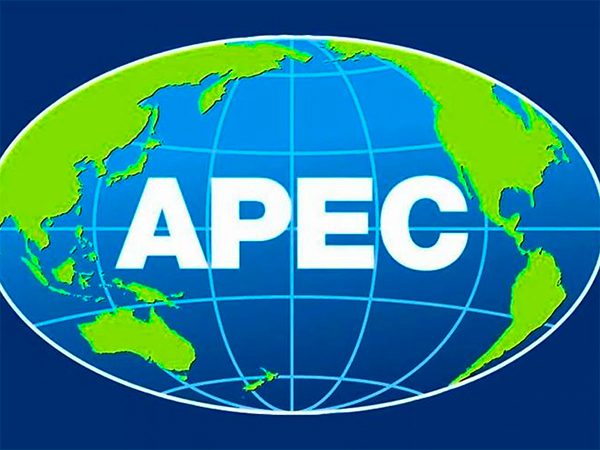 Лидеры экономик-участниц АТЭС призвали повысить безопасность и доступность ИИ-технологий