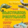 Погружение в мир экзотики: во Владивостоке проходит грандиозная выставка рептилий