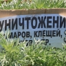 Интересные факты о клещах Башкирии