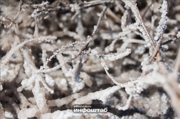 Минус 7 градусов: что метеорологи обещают астраханцам 29 ноября Минус 7 градусов: что метеорологи обещают астраханцам 29 ноября