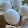 В Курской области цены на куриные яйца достигли минимального уровня за два года