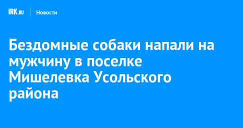 Бездомные собаки напали на мужчину в поселке Мишелевка Усольского района
