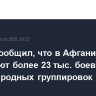 Шойгу сообщил, что в Афганистане действуют более 23 тыс. боевиков международных группировок