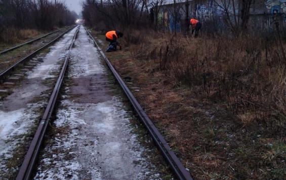 В центре Курска убрали мусорную свалку в 3-м Суворовском переулке В центре Курска убрали мусорную свалку в 3-м Суворовском переулке