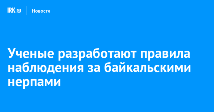 Ученые разработают правила наблюдения за байкальскими нерпами